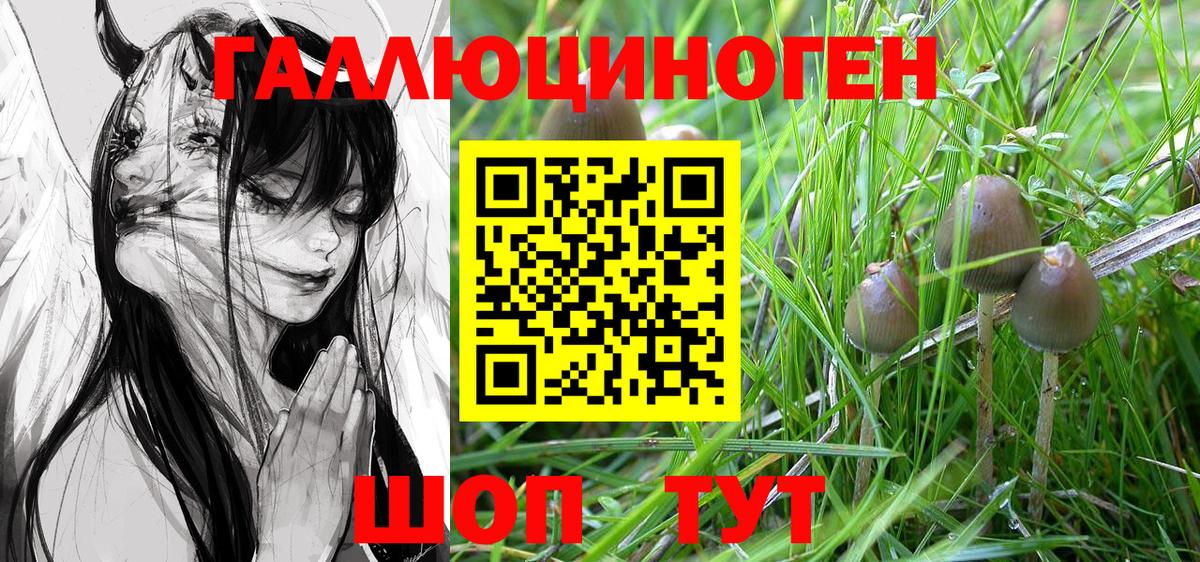 Галлюциногенные грибы Psilocybe Сатка